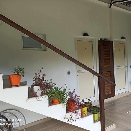 La Maison Du Voyage Tevaitoa Bagian luar foto